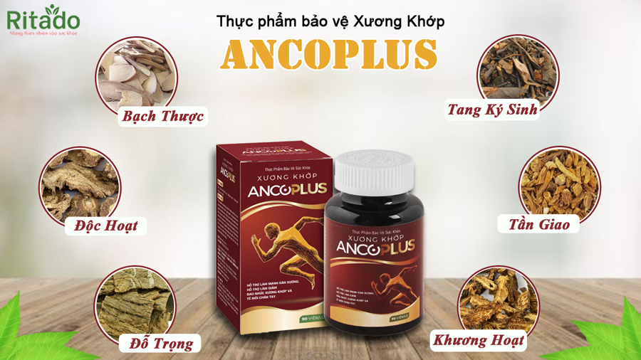 xương khớp ancoplus